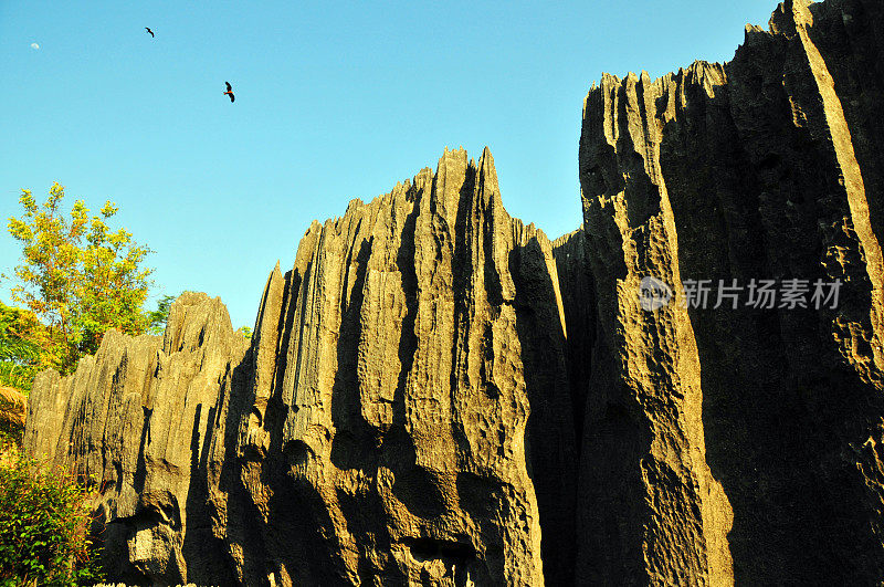 马达加斯加的Tsingy de Bemaraha